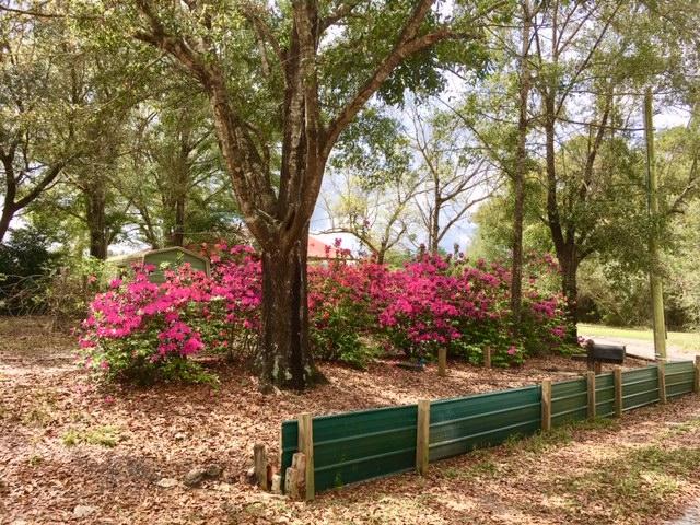 1401 Martin Road DeFuniak Springs, FL 32433 - Photo 11 of 51 Front Yard