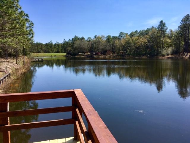 1401 Martin Road DeFuniak Springs, FL 32433 - Photo 41 of 51 View From Dock