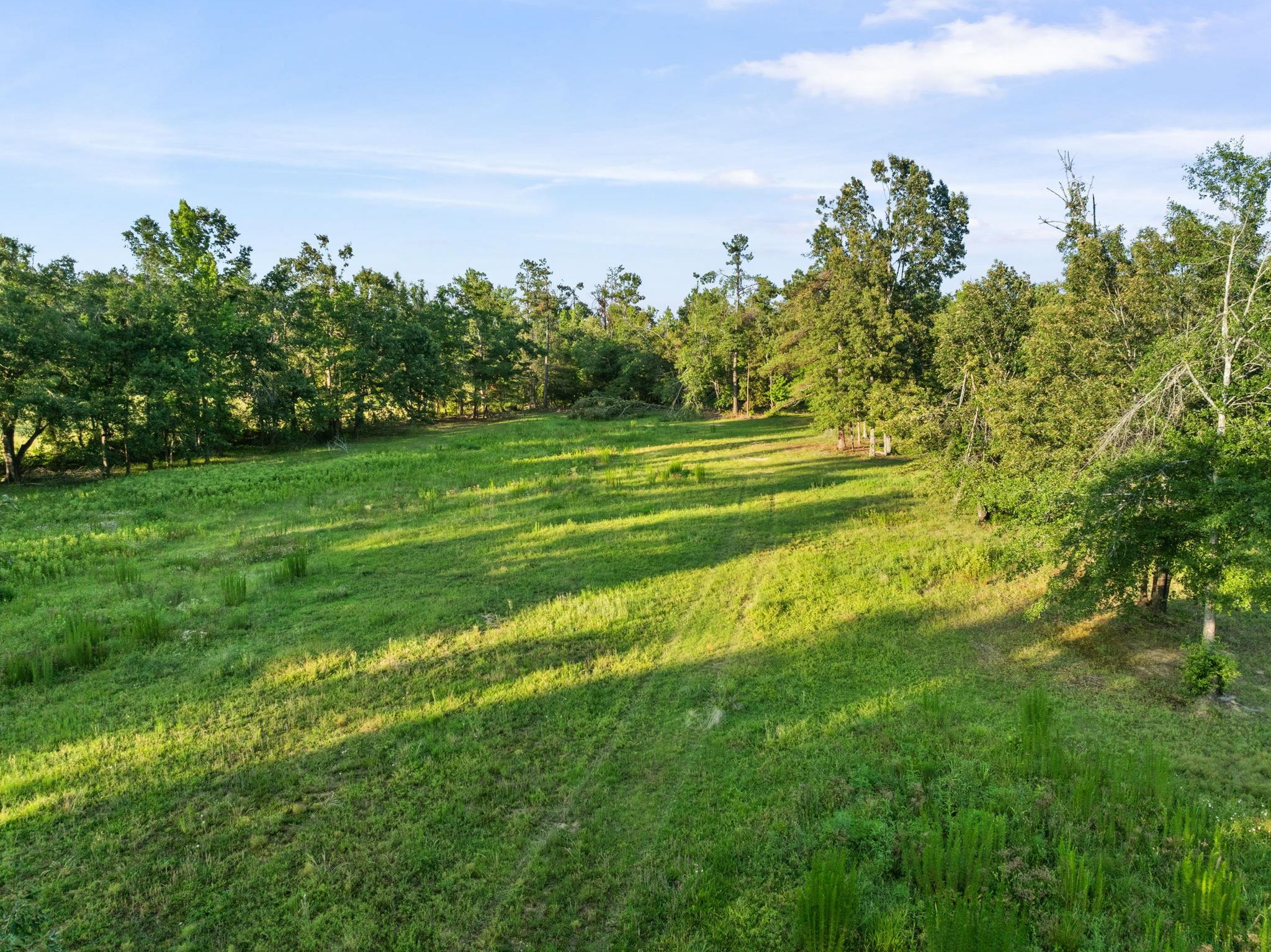 66 County Road 511 Corinth, MS 38834 - Photo 33 of 40 Expansive grass field bordered by mature trees