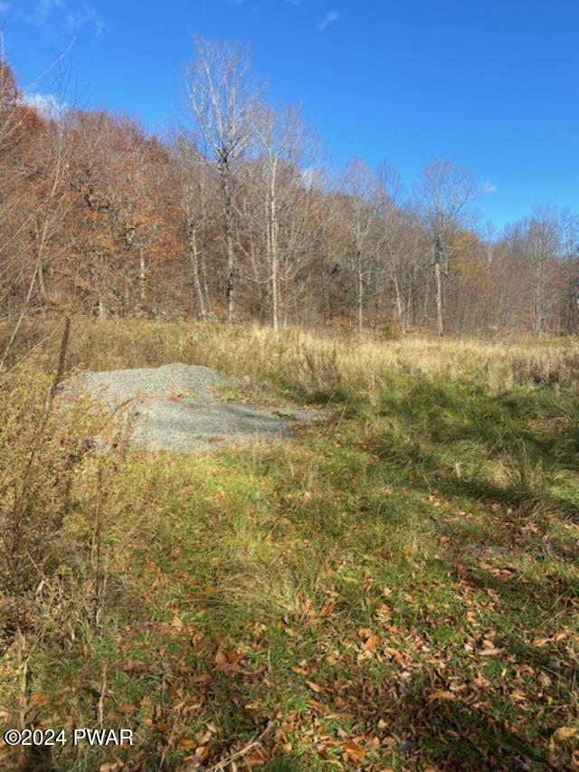 Rotten Road Equinunk, PA 18417 - Photo 2 of 8