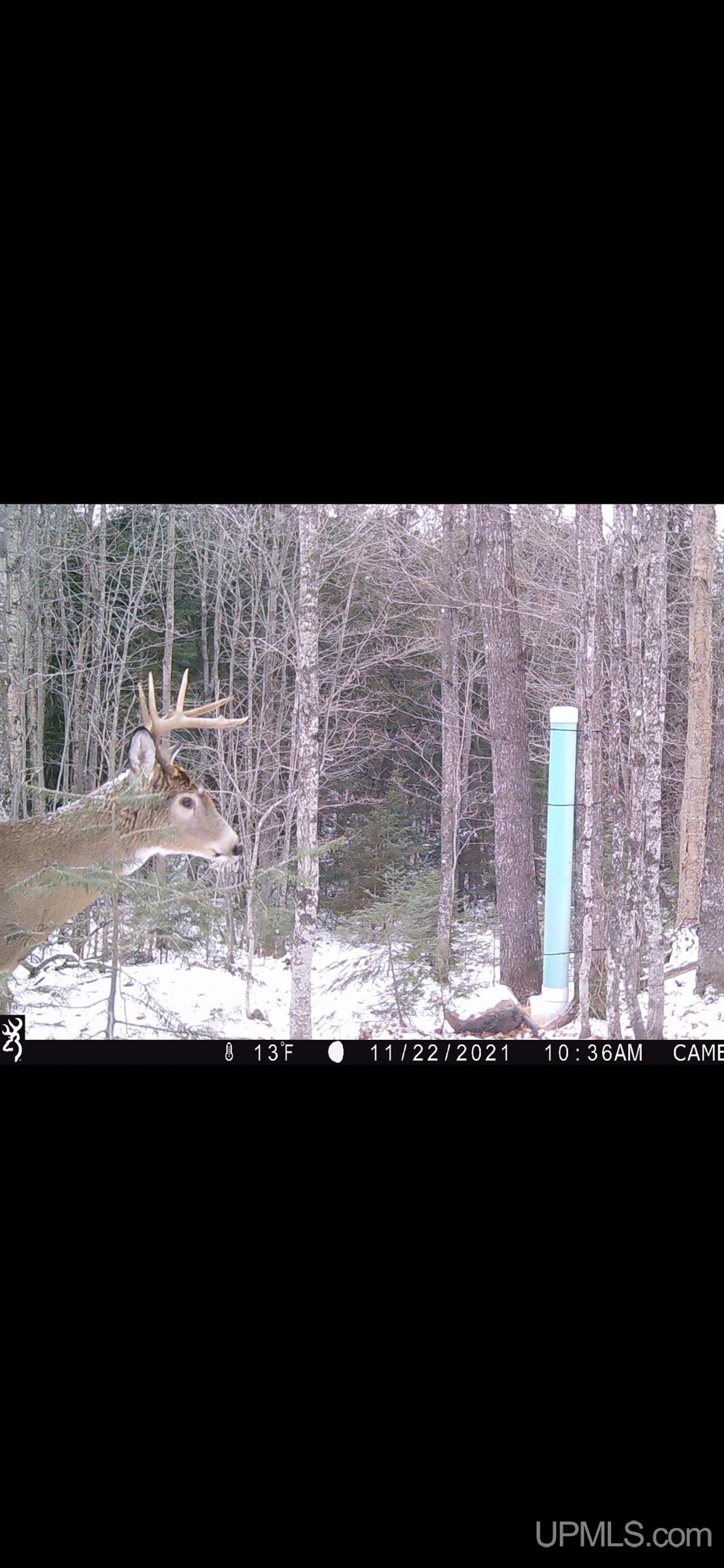 Tbd Barry Road Iron River, MI 49935 - Photo 39 of 40 Gallery Image 39