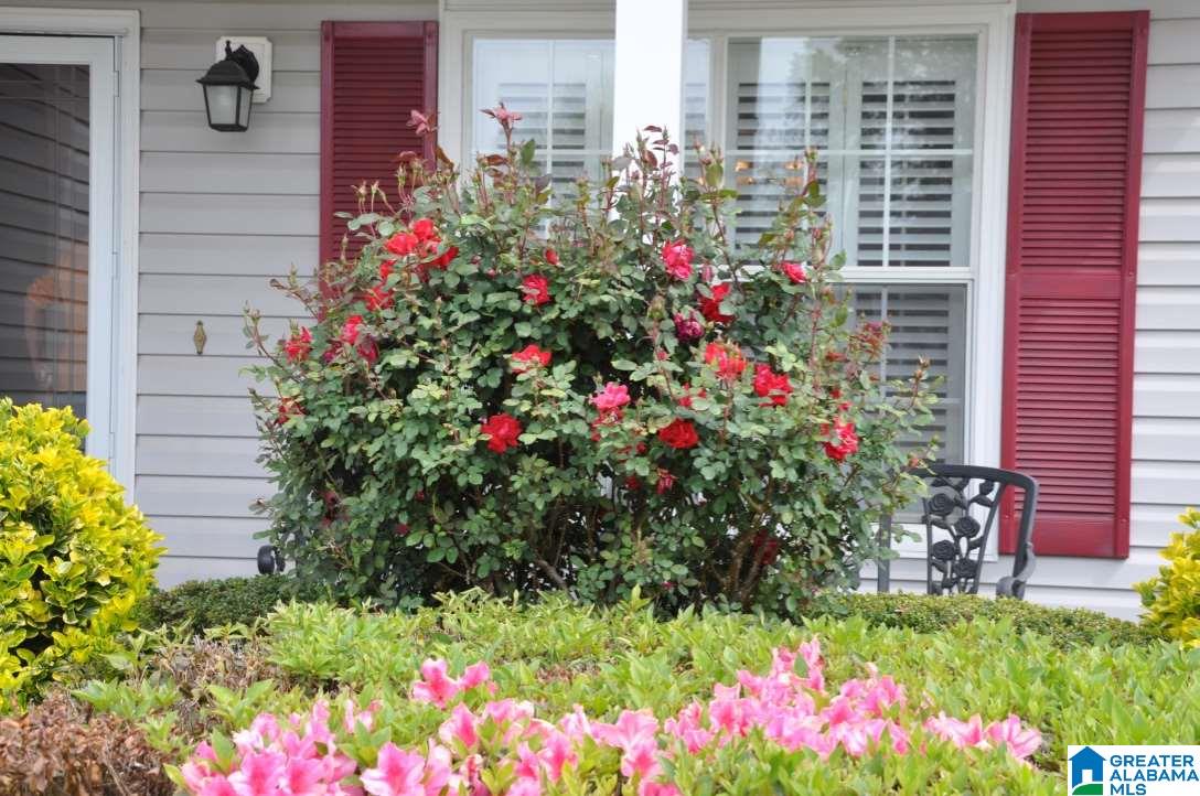 128 Meadow View Circle Pelham, AL 35124 - Photo 50 of 50