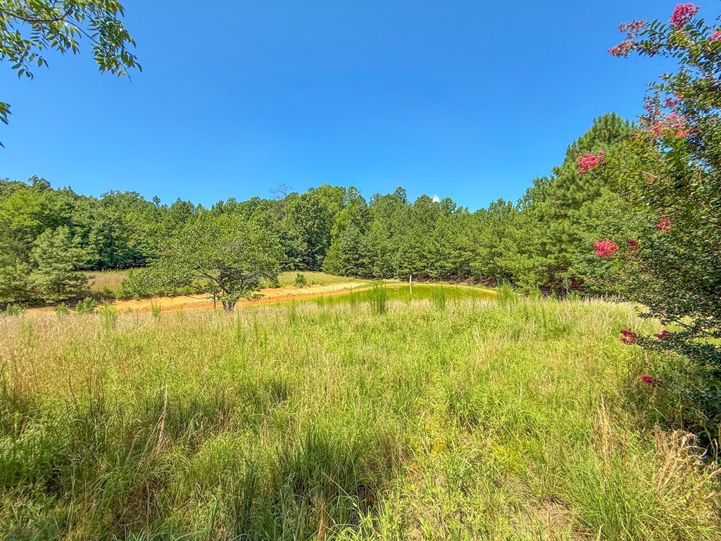 Flat Rock Road Blackstone, VA 23824 - Photo 7 of 11 Gallery Image 7