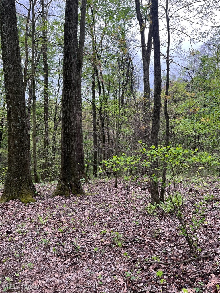 Sandy Ridge Road Tippecanoe, OH 44699 - Photo 13 of 21