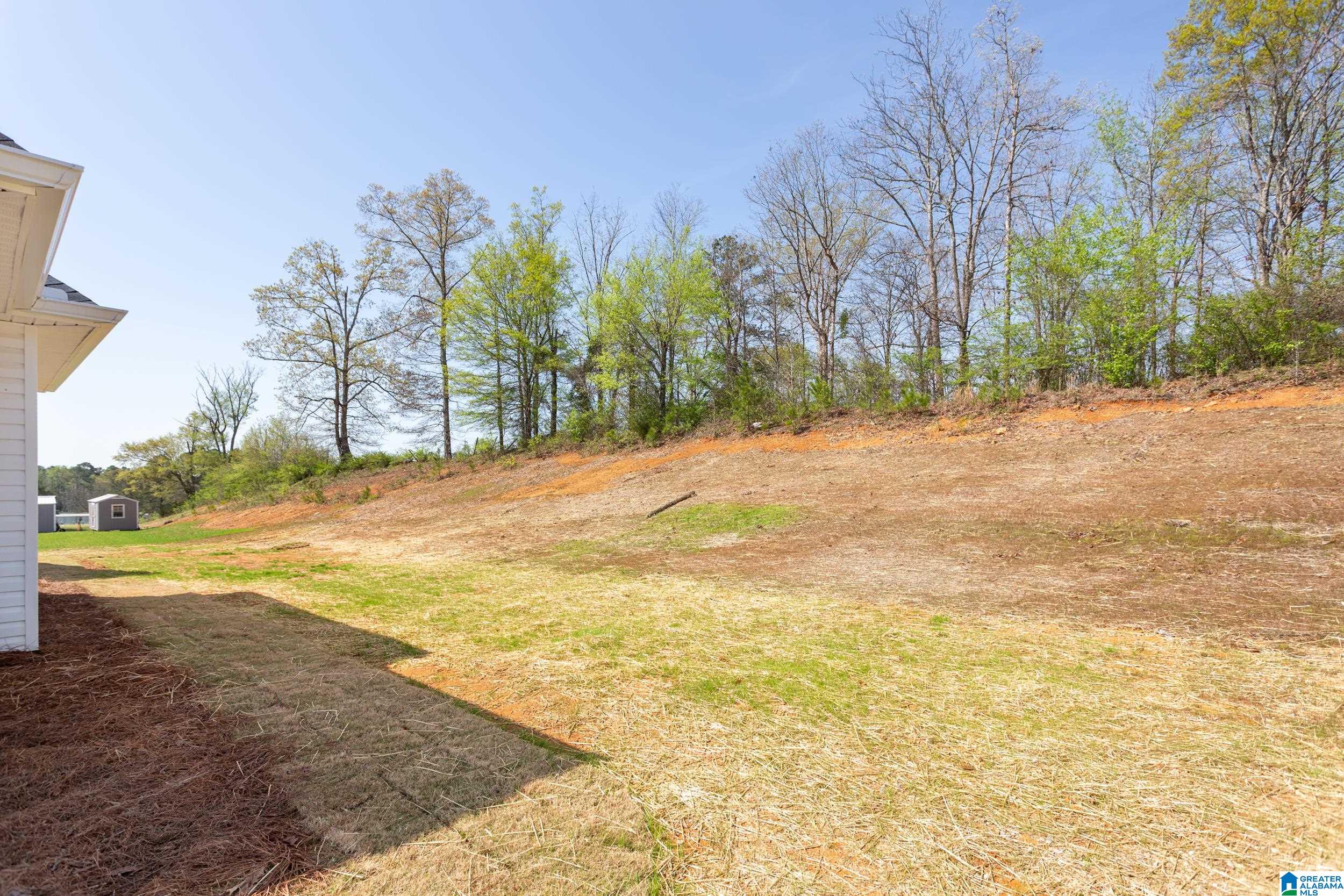 235 Bella Ridge Lincoln, AL 35096 - Photo 38 of 40 Gallery Image 38