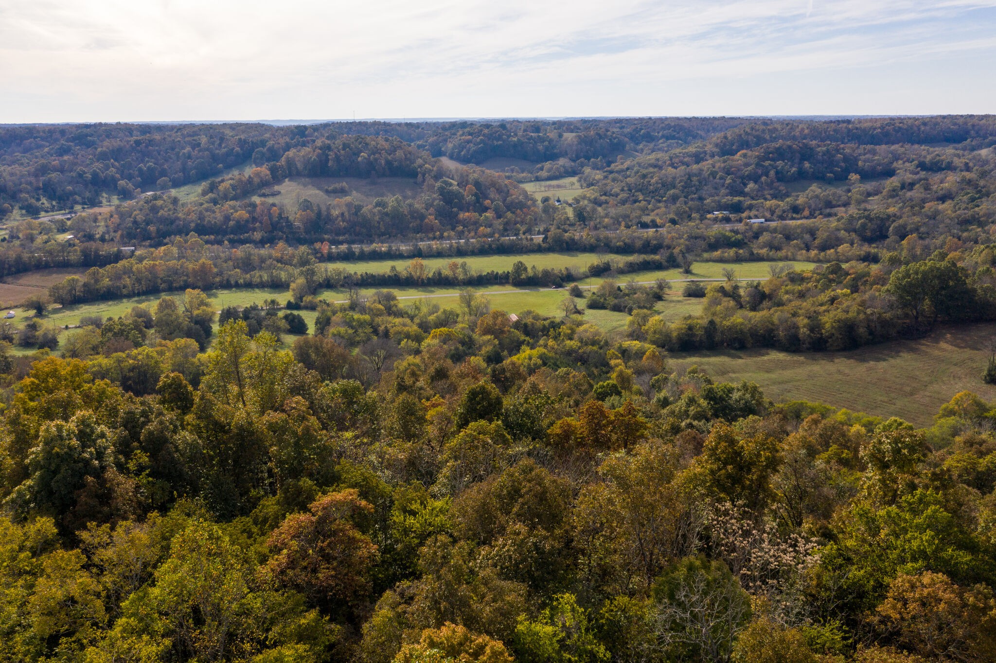 7050 Beech Hill Road Pulaski, TN 38478 - Photo 11 of 24 a view of lake and mountain