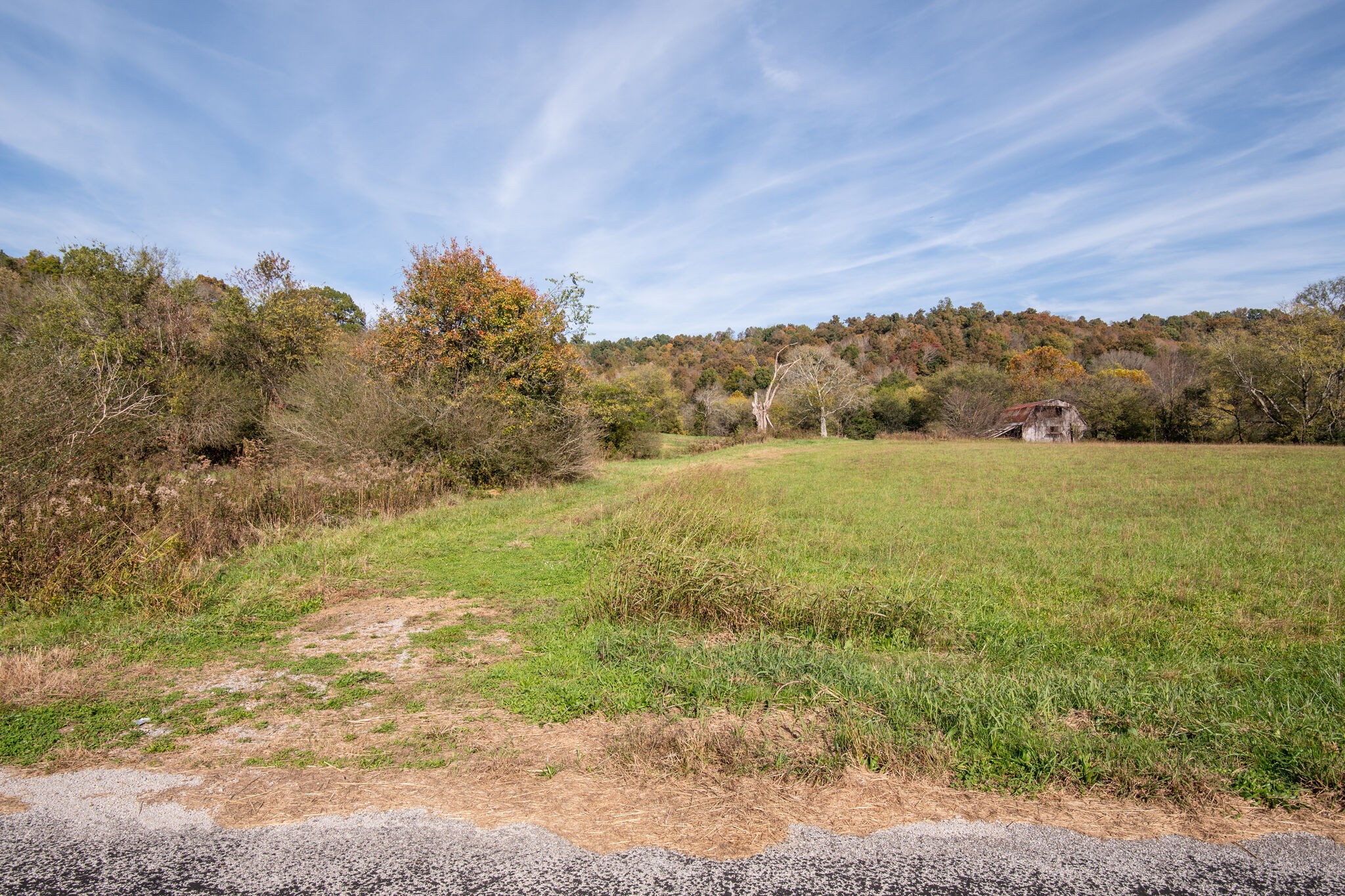 7050 Beech Hill Road Pulaski, TN 38478 - Photo 4 of 24 a view of an ocean