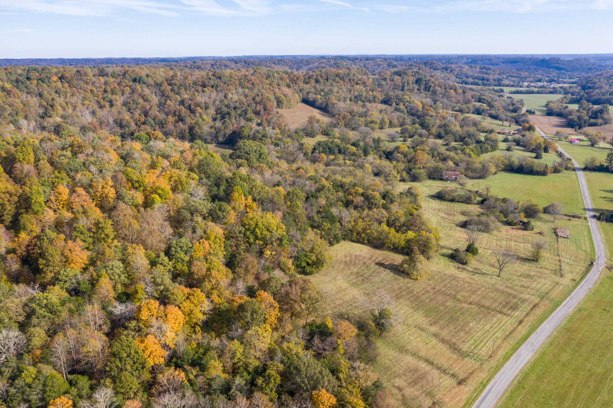 7050 Beech Hill Road Pulaski, TN 38478 - Photo 7 of 24 an aerial view of residential houses with yard