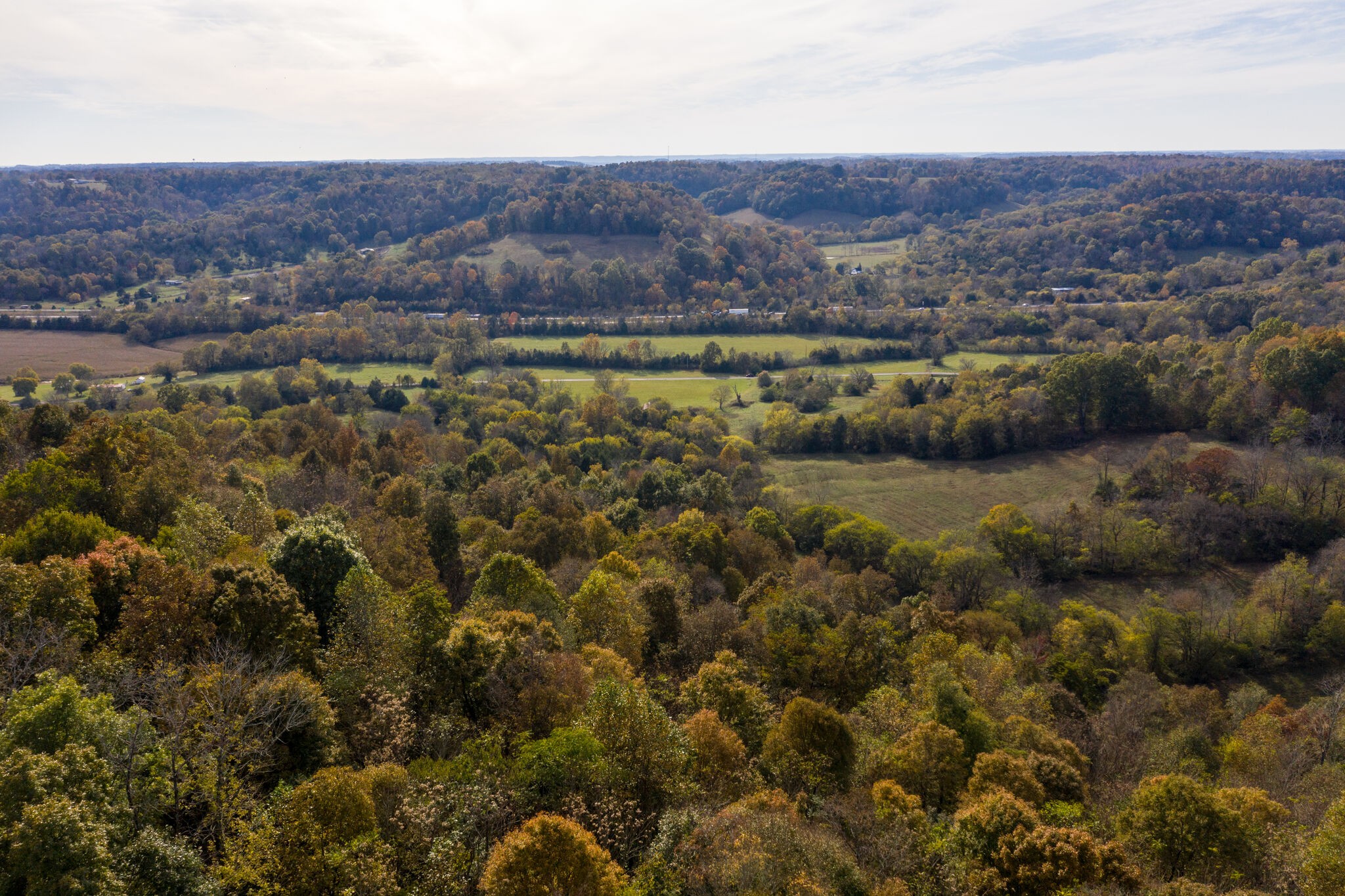 7050 Beech Hill Road Pulaski, TN 38478 - Photo 8 of 24 an aerial view of residential house and green space