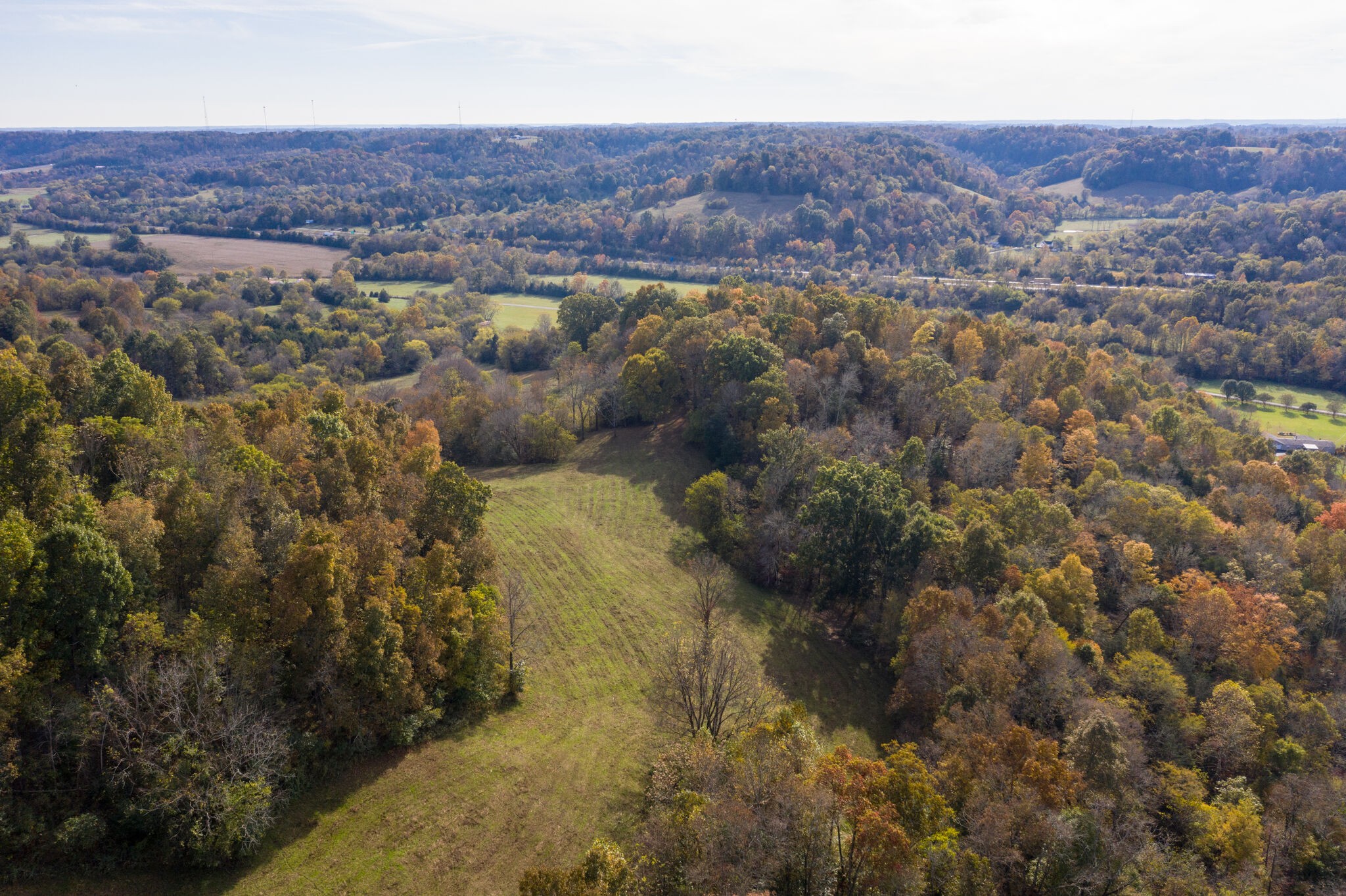 7050 Beech Hill Road Pulaski, TN 38478 - Photo 9 of 24 a view of city and mountain
