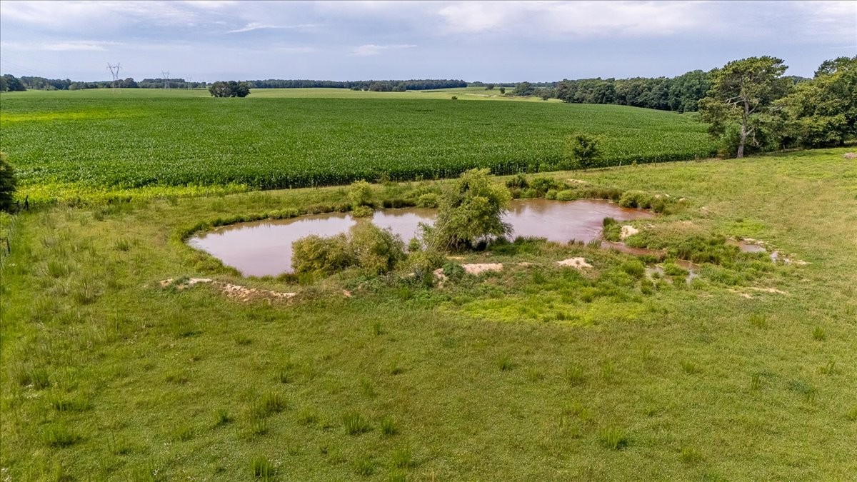 0 Marks Road Leoma, TN 38468 - Photo 25 of 25