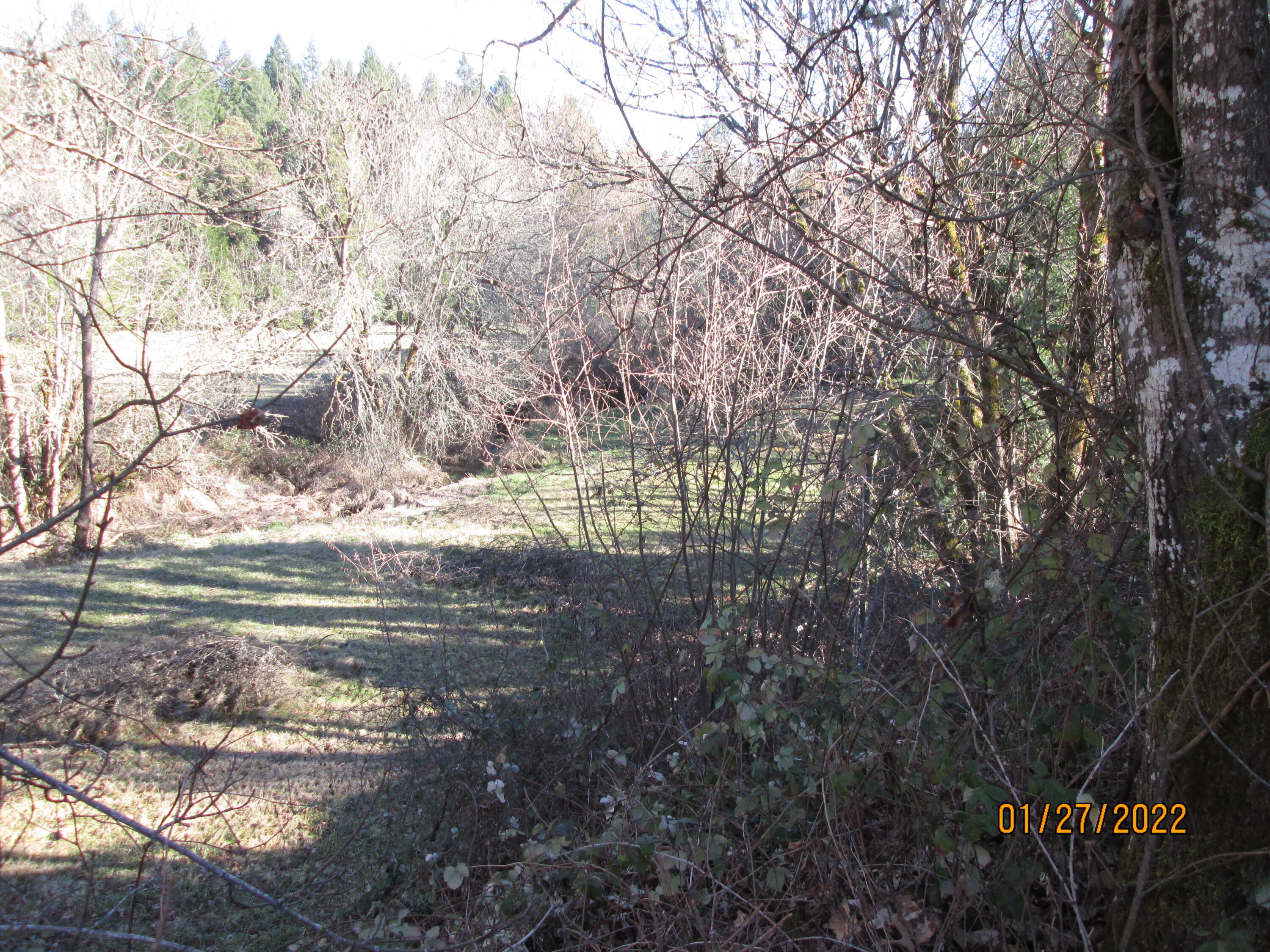 4940 Dick George Road Cave Junction, OR 97523 - Photo 20 of 22 Meadow
