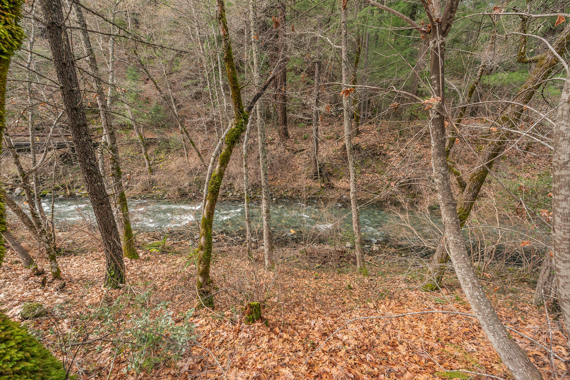 540 Lost Bridge Road Lewiston, CA 96052 - Photo 53 of 67 DSC_5718