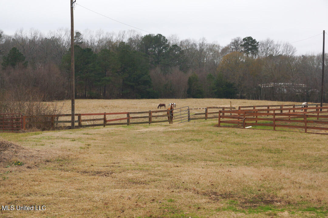 3767 Springridge Road Raymond, MS 39154 - Photo 118 of 134 House Photos 115