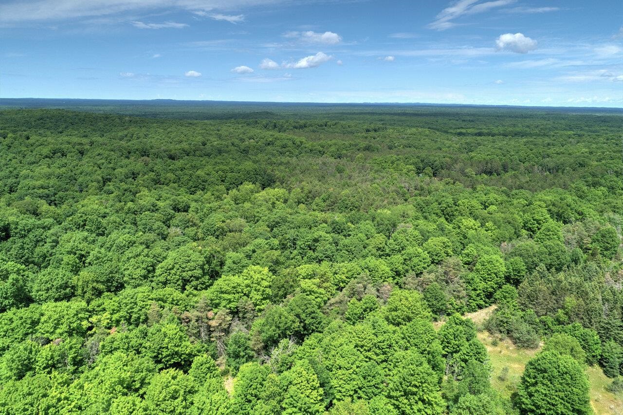 37.7-acres Miller Road Thompsonville, MI 49683 - Photo 8 of 8
