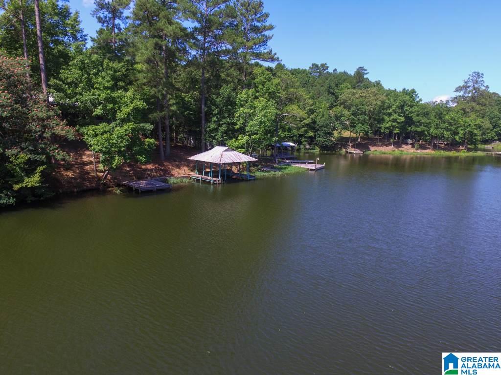 161 Ridge Road Shelby, AL 35143 - Photo 41 of 43