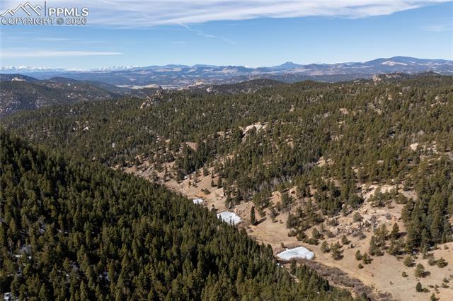 81 Haven Road Divide, CO 80814 - Photo 16 of 22 View of mountain backdrop featuring a forest