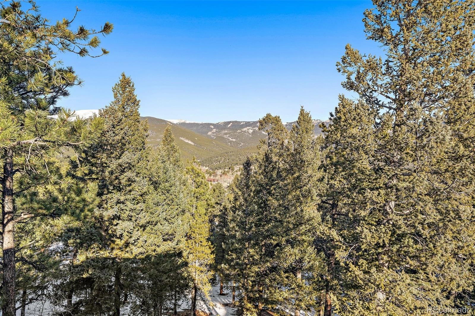 55 Rd P78 Bailey, CO 80421 - Photo 22 of 43 a view of a yard