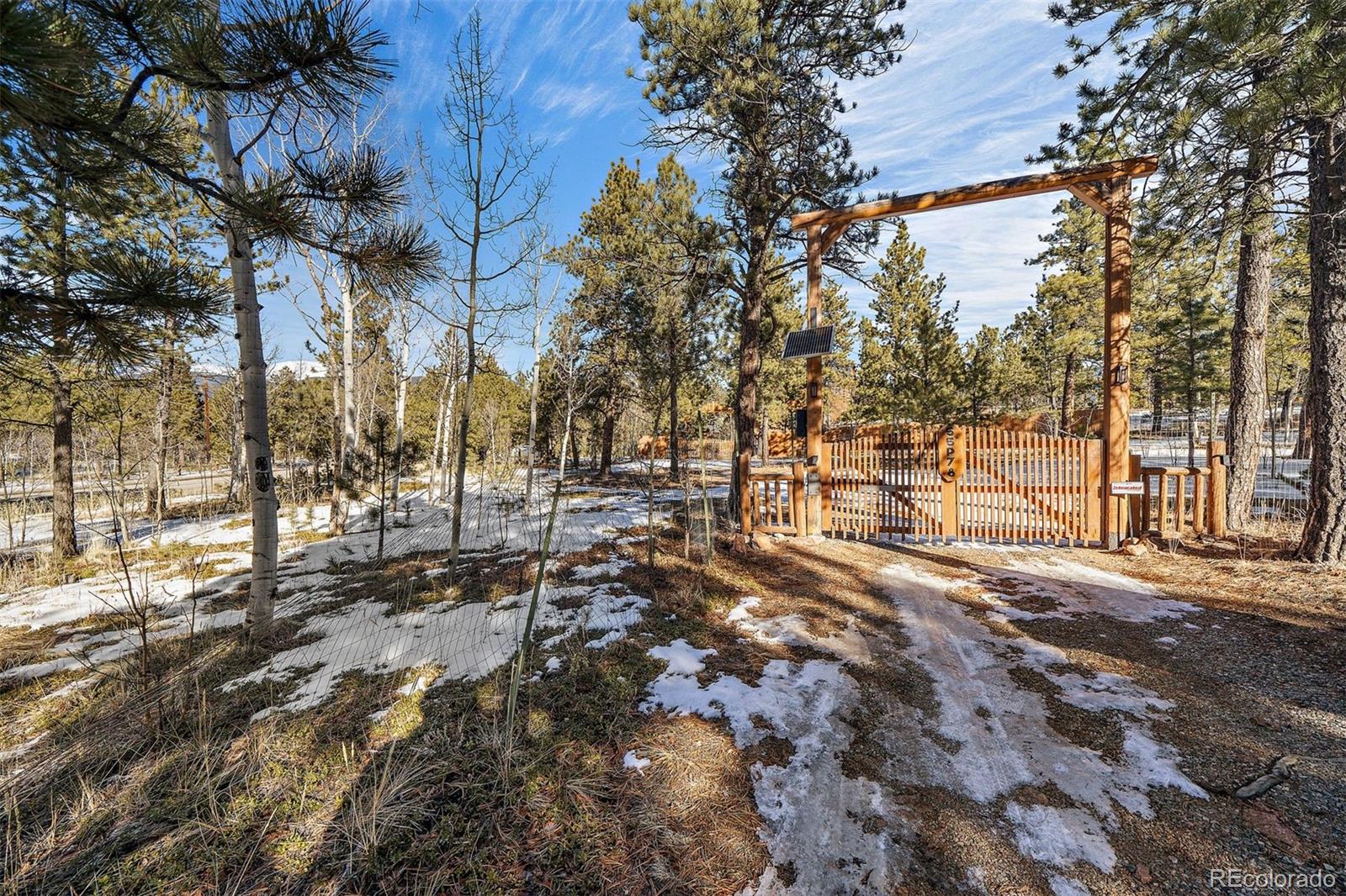 55 Rd P78 Bailey, CO 80421 - Photo 43 of 43 a view of a yard with a tree
