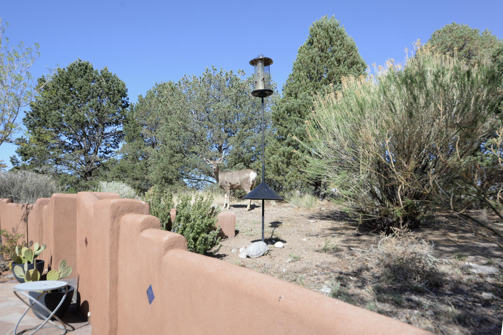 1219 Rockrose Road Northeast Albuquerque, NM 87122 - Photo 21 of 60 Gallery Image 21