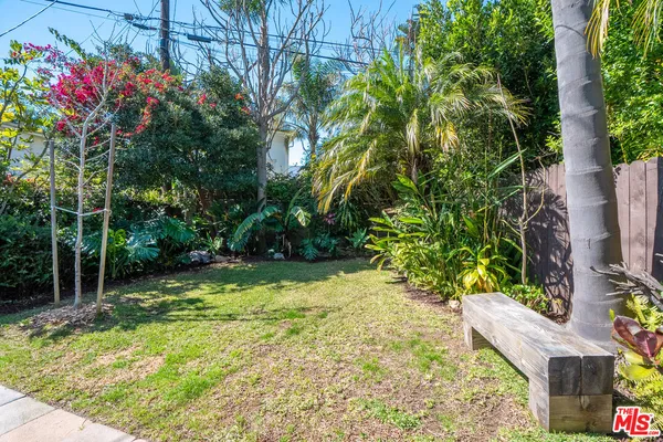 a view of a yard with plants