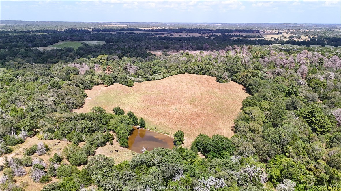 8 & 13) Road Paige, TX 78659 - Photo 2 of 22 Gallery Image 2
