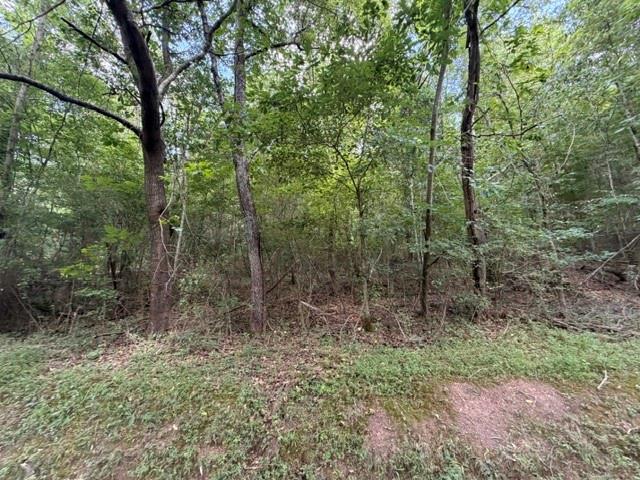 280 Nixon Road Summerville, GA 30747 - Photo 4 of 5