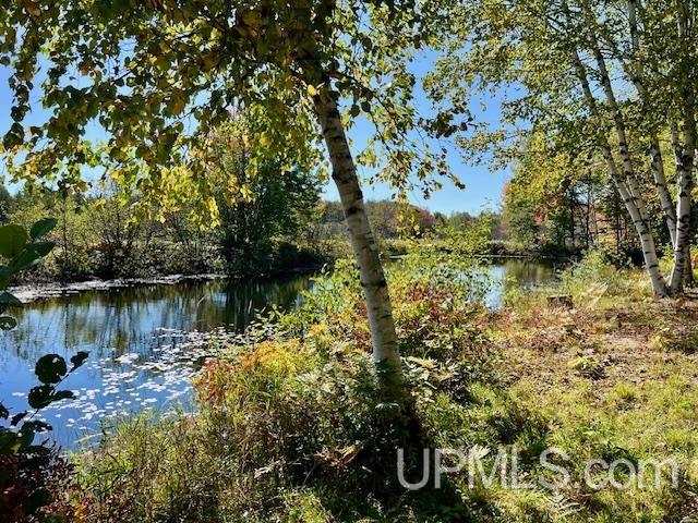 25307 Dover Road Calumet, MI 49913 - Photo 4 of 47
