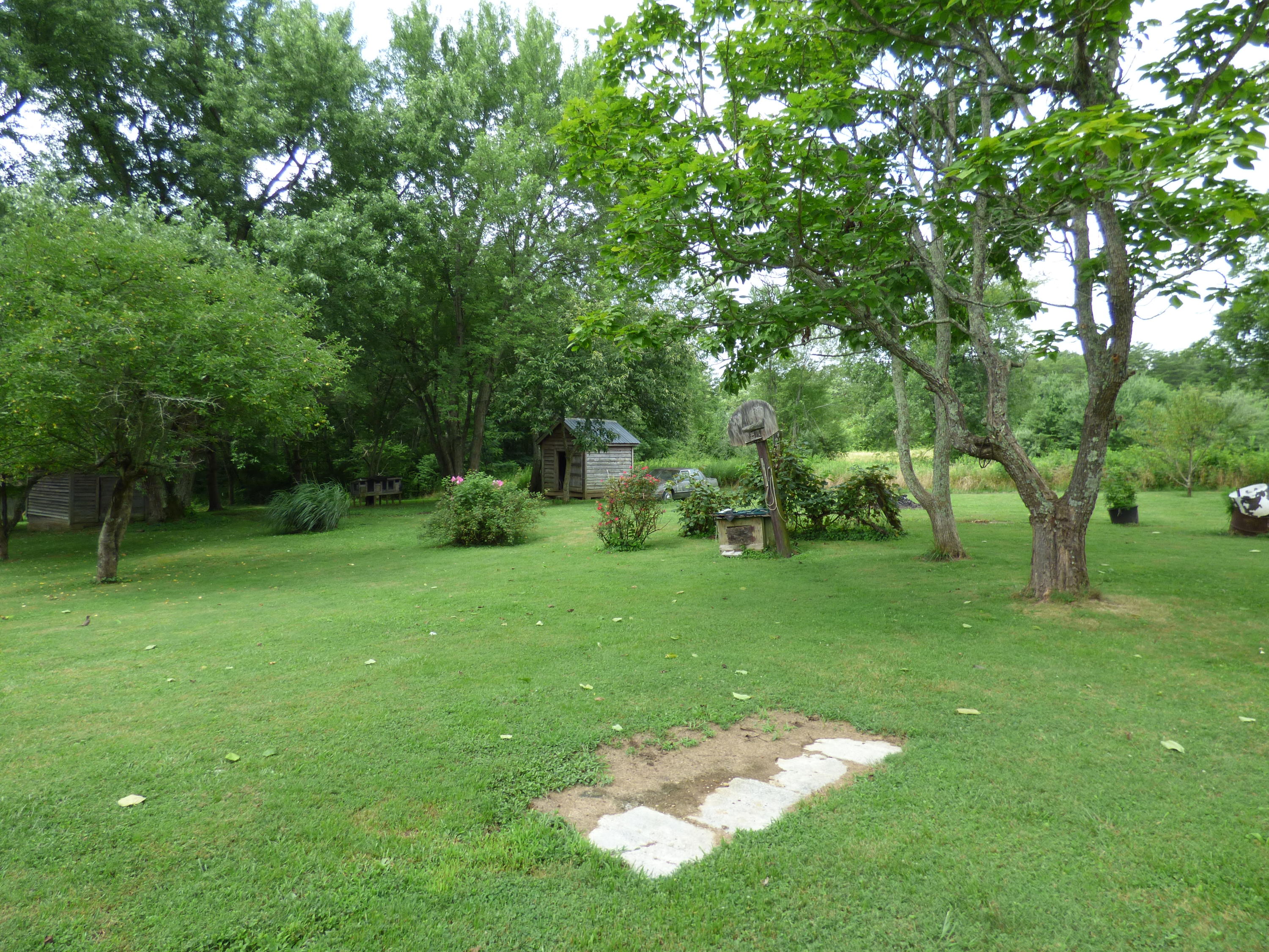 154 Cherry Branch Road Crossville, TN 38571 - Photo 27 of 40 P1030334