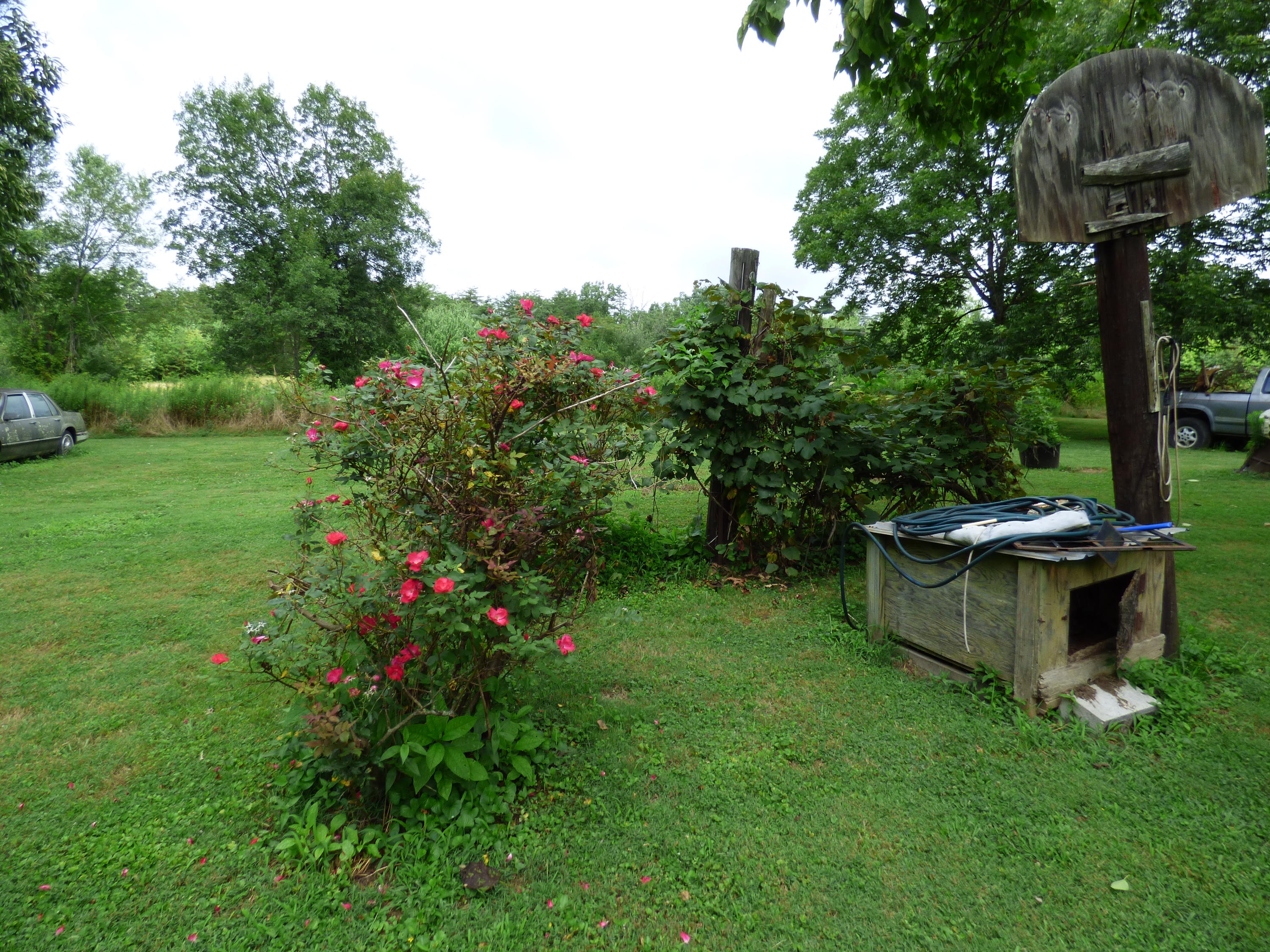 154 Cherry Branch Road Crossville, TN 38571 - Photo 30 of 40 P1030337