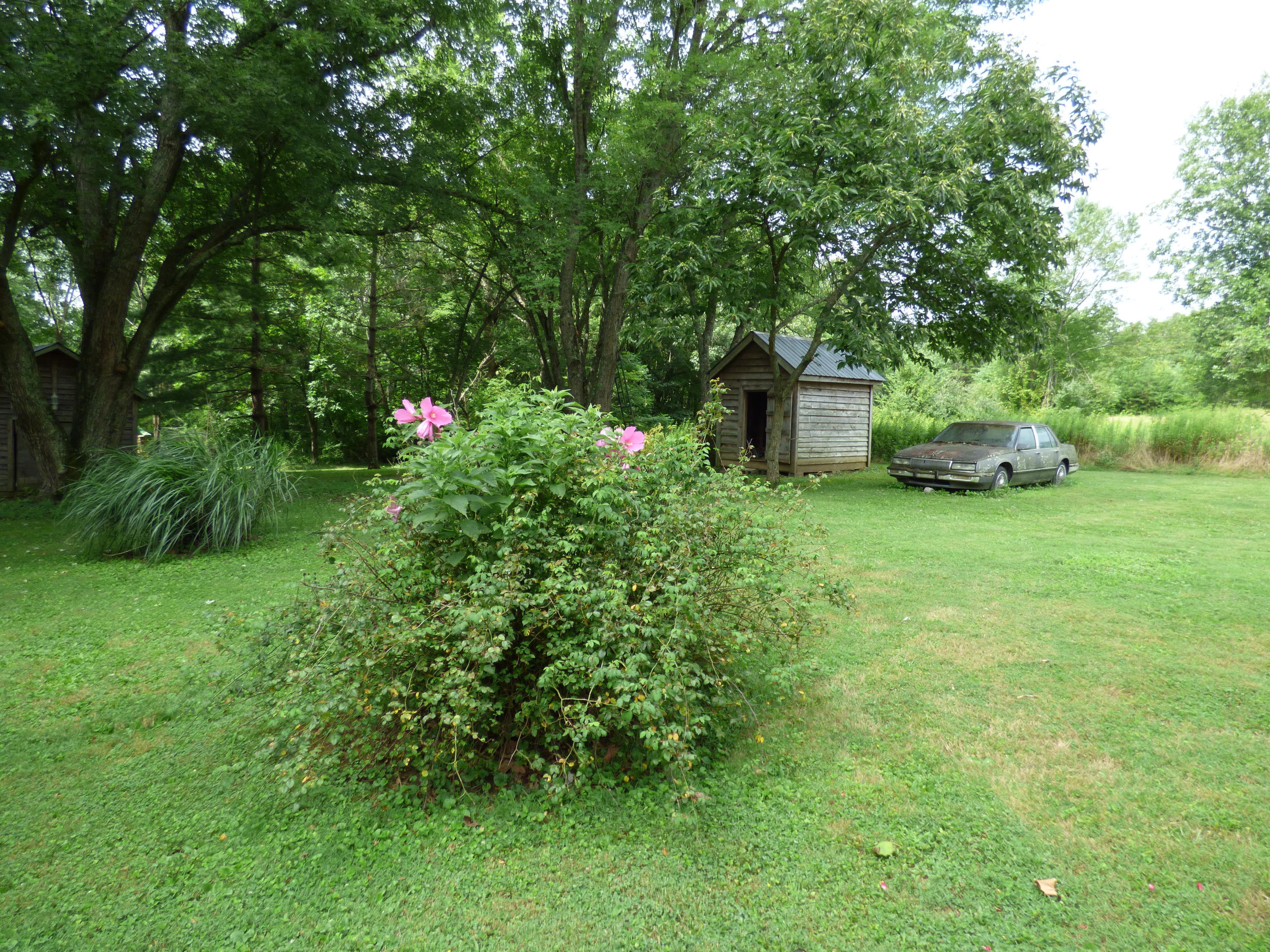 154 Cherry Branch Road Crossville, TN 38571 - Photo 31 of 40 P1030338