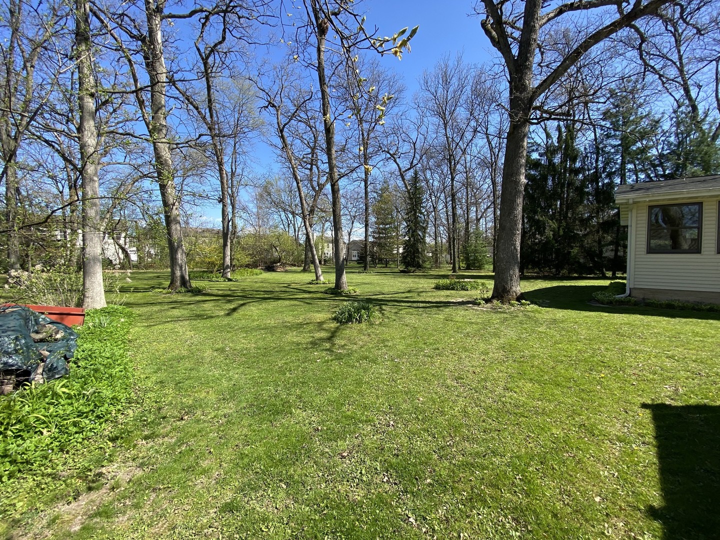 708 Hickory Road Woodstock, IL 60098 - Photo 20 of 22 a view of a park with tree s