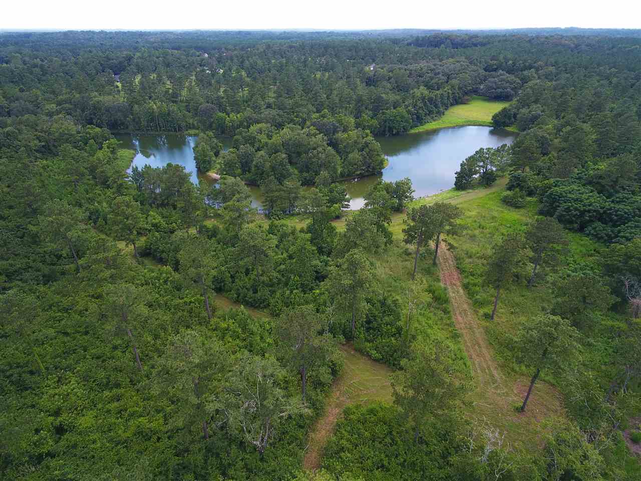 9900 Hidden Pond Road Tallahassee, FL 32317 - Photo 3 of 34