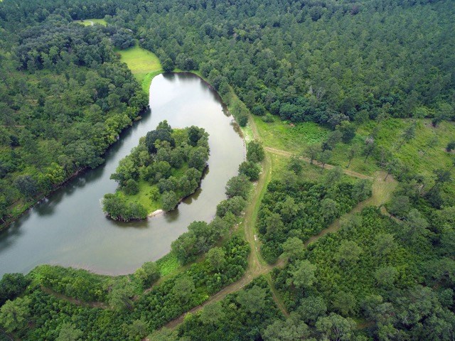 9900 Hidden Pond Road Tallahassee, FL 32317 - Photo 4 of 34