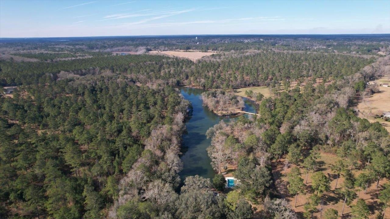 9900 Hidden Pond Road Tallahassee, FL 32317 - Photo 6 of 34
