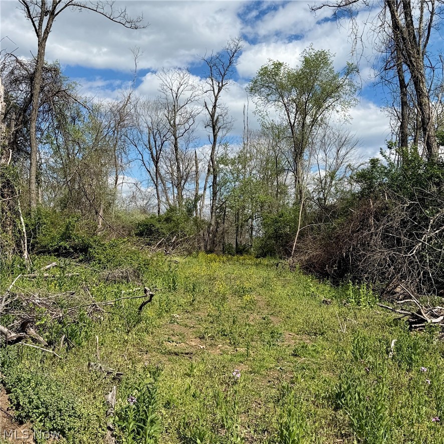 Deersville Ridge Road Cadiz, OH 43907 - Photo 29 of 41