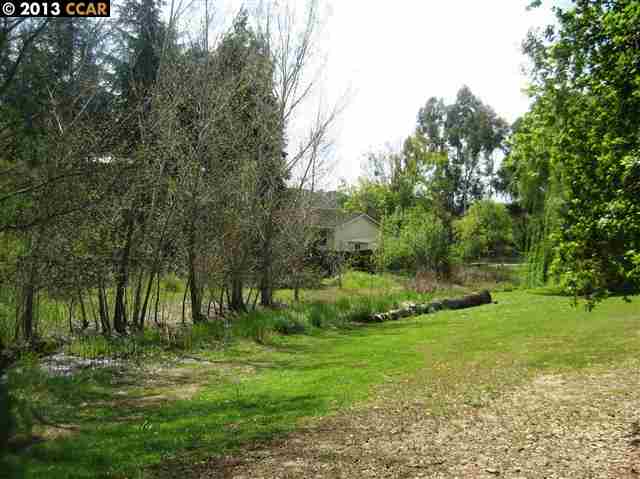 187 Midhill Road Martinez, CA 94553 - Photo 1 of 1 a big yard with lots of green space and deers