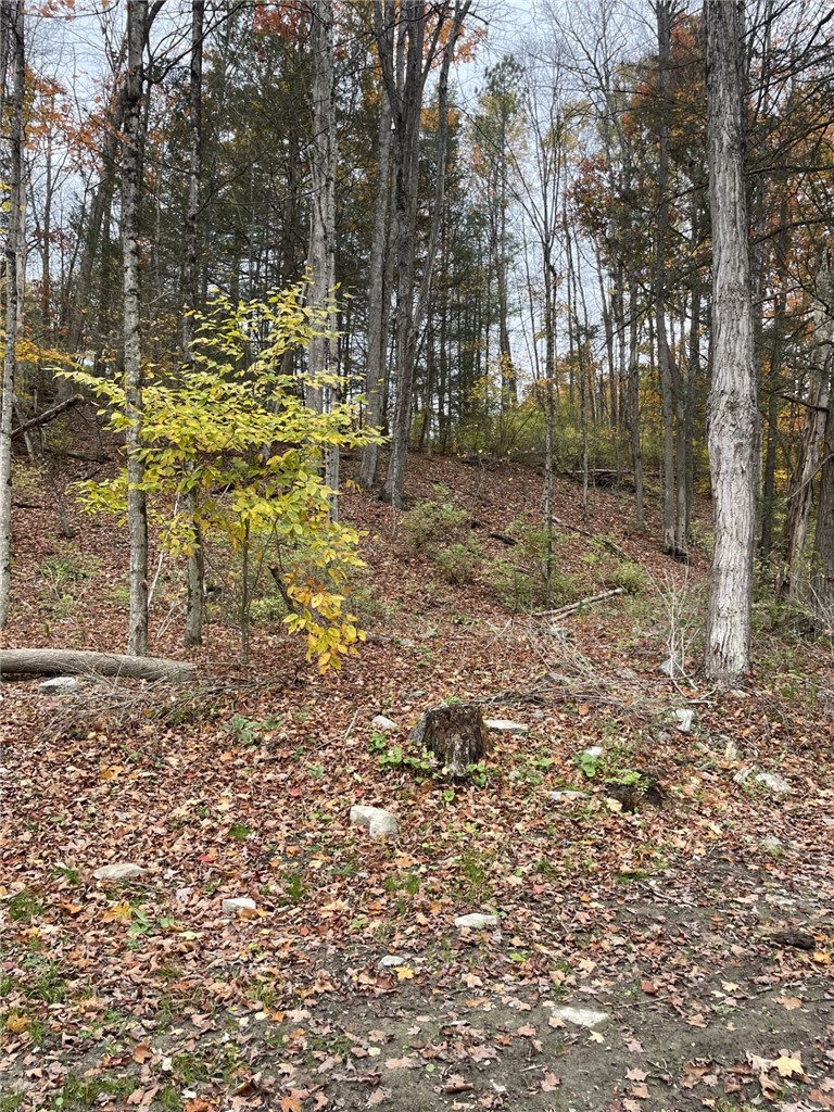 0 Parker Road Campbell, NY 14821 - Photo 7 of 9