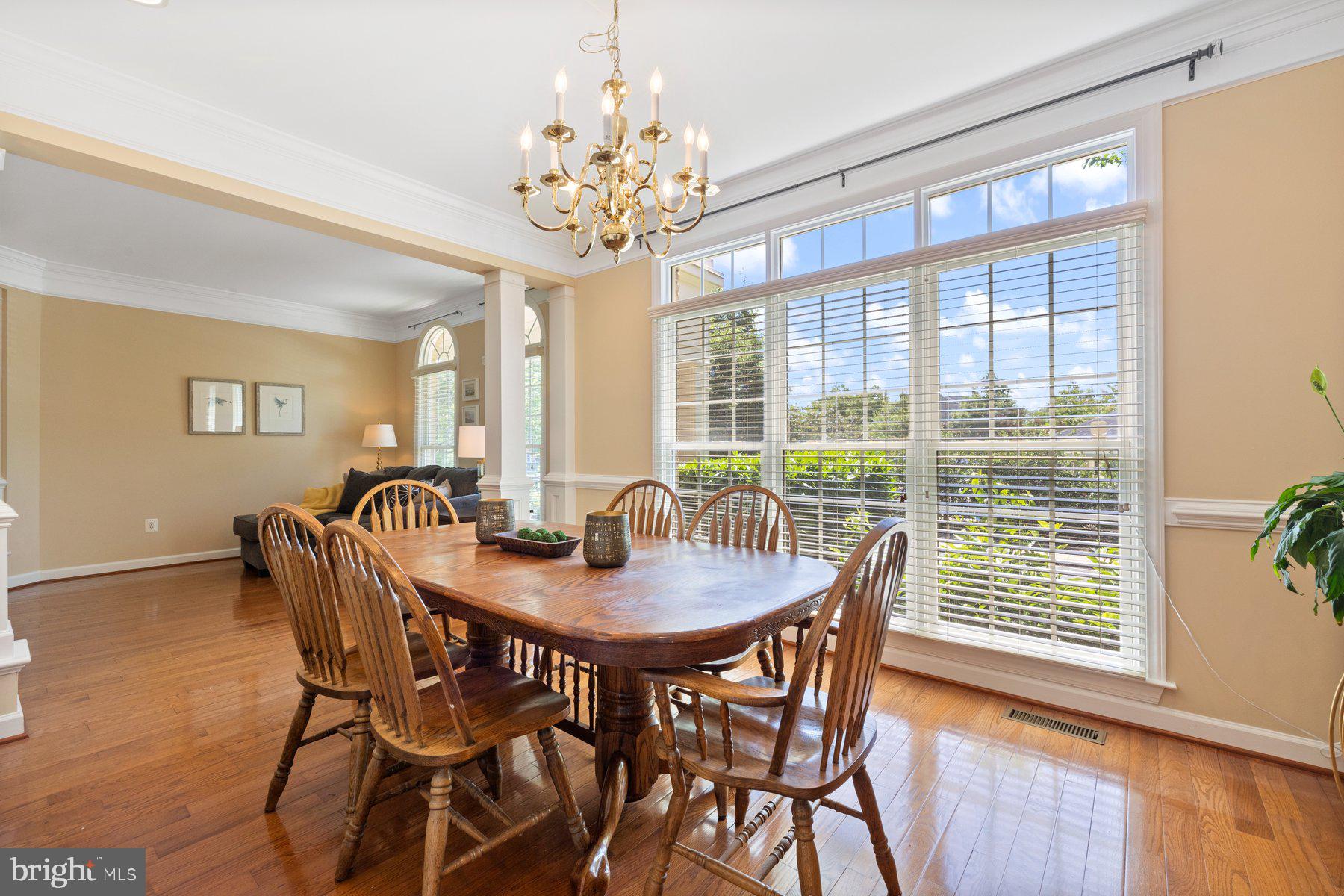 710 Drake Way Annapolis, MD 21401 - Photo 13 of 77 Incredible Natural Light