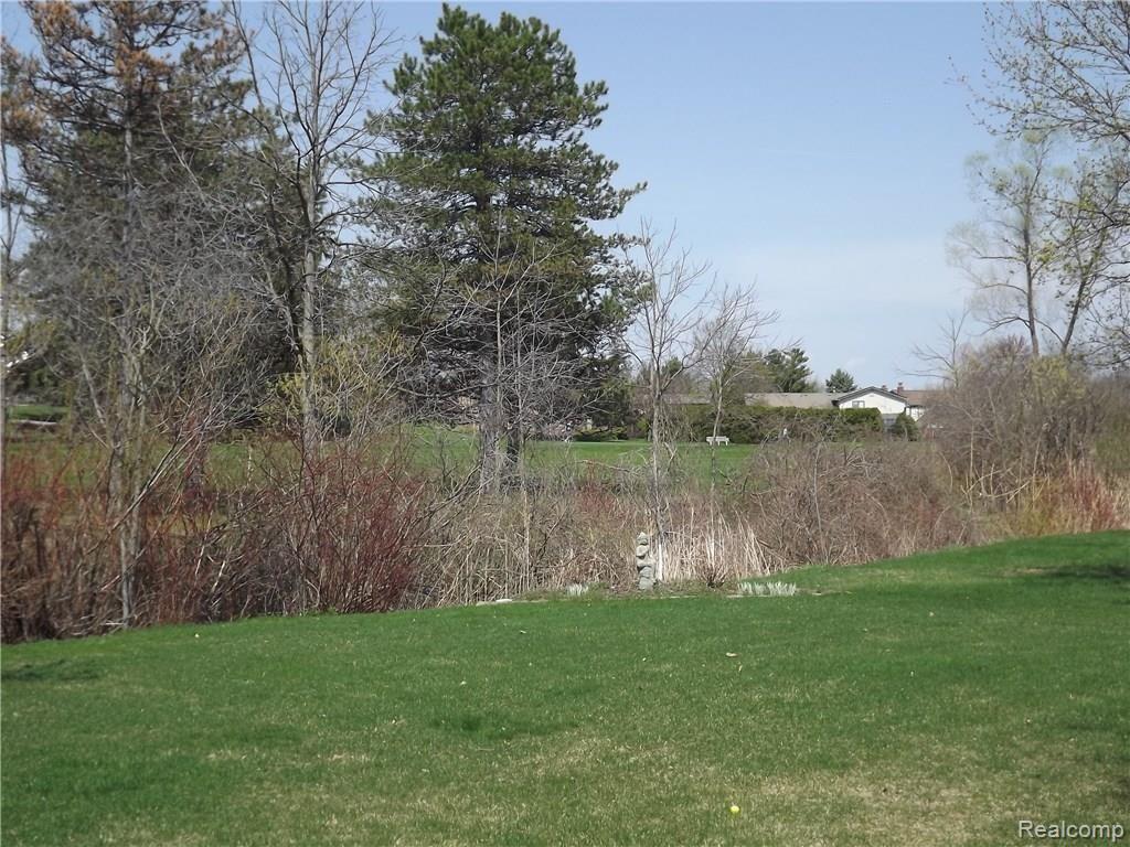 766 Lion Street Rochester Hills, MI 48307 - Photo 8 of 33