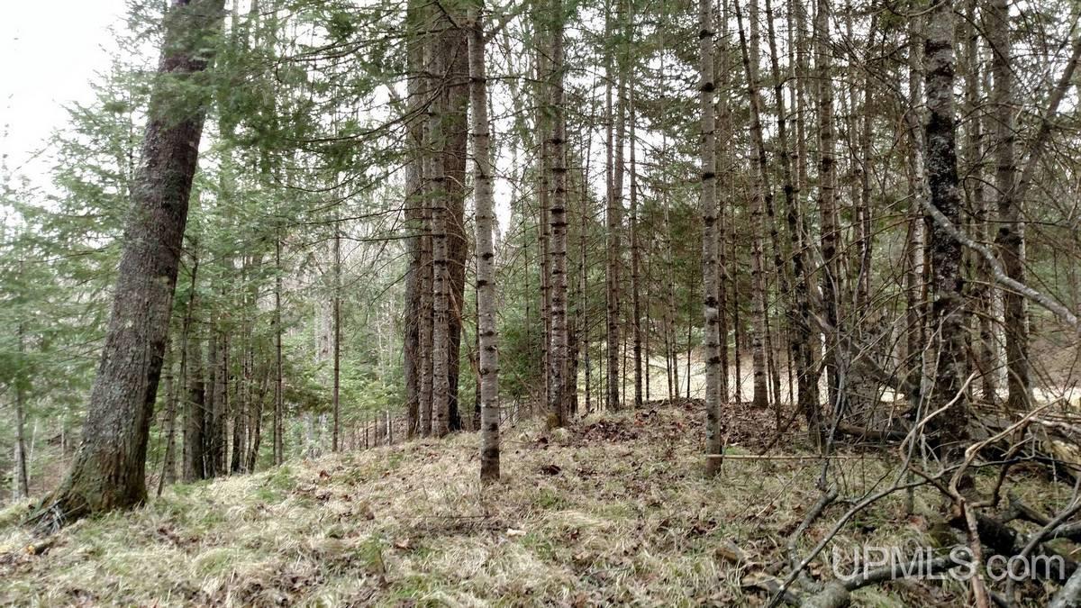 1.52-ac Bates-Amasa Road Crystal Falls, MI 49920 - Photo 28 of 28 Gallery Image 28