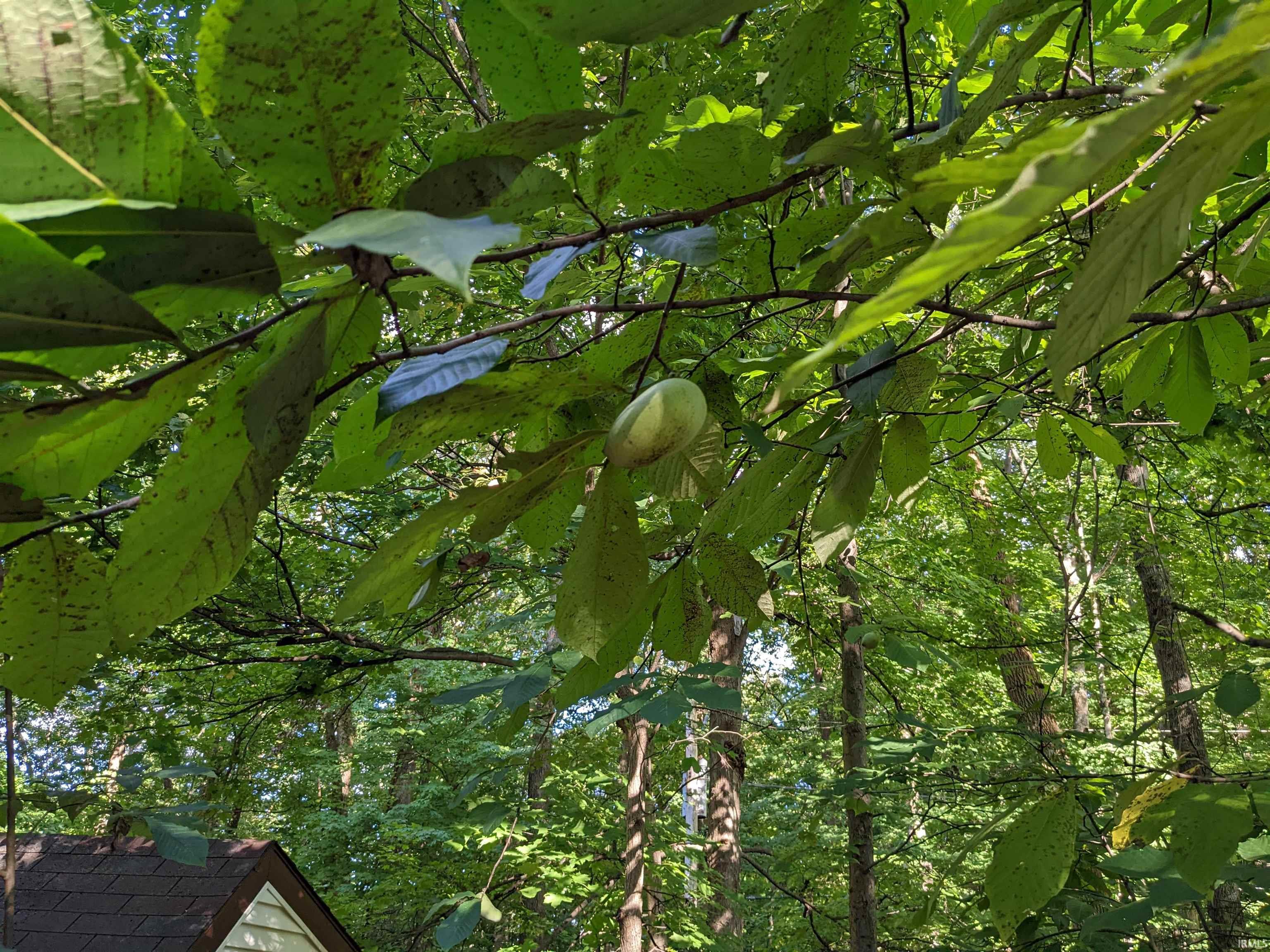 916 North Park Ridge Road Bloomington, IN 47408 - Photo 50 of 50 Gallery Image 50