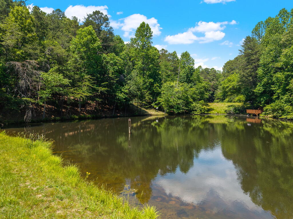 85 Misty Holw Road Ellijay, GA 30536 - Photo 60 of 75 Gallery Image 60