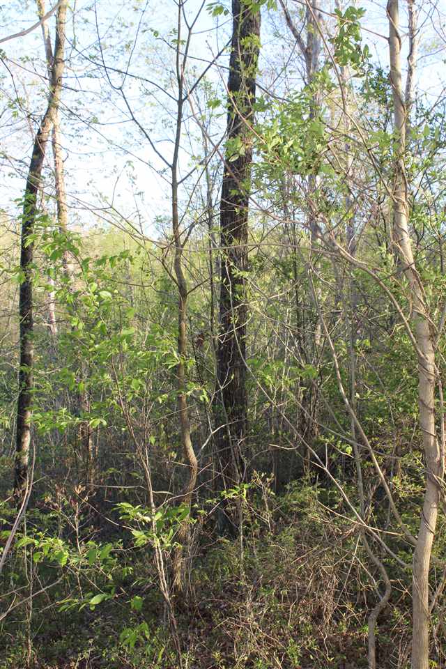 2188 Union Light Road Mammoth Cave, KY 42259 - Photo 12 of 22 Gallery Image 12