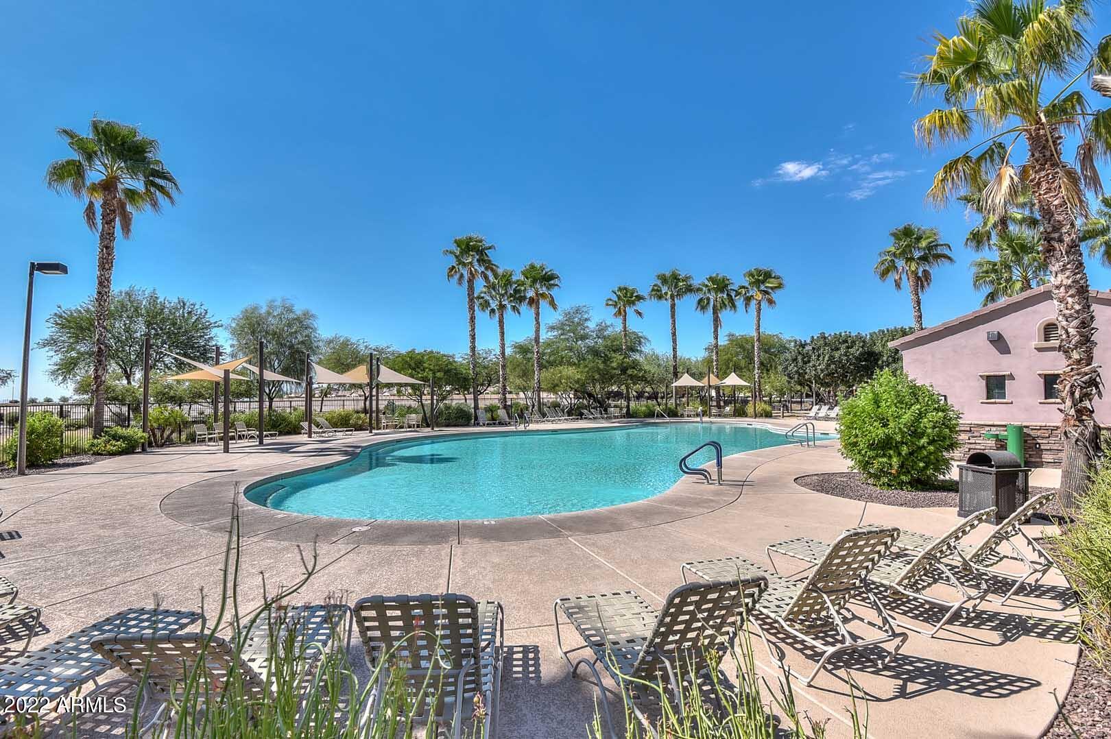 17682 West Red Bird Road Surprise, AZ 85387 - Photo 39 of 42 Desert Oasis-Community Pool