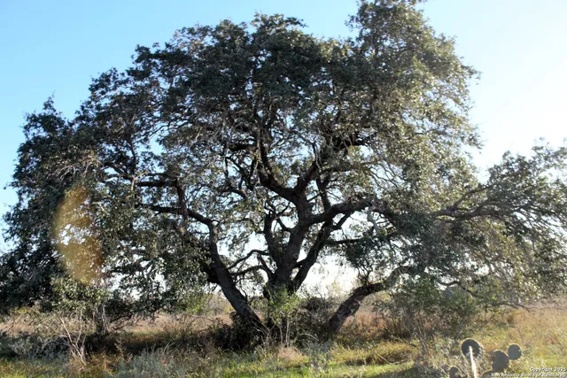 $299,900 | Tbd Pr Lexi Lane, Poteet, TX 78065