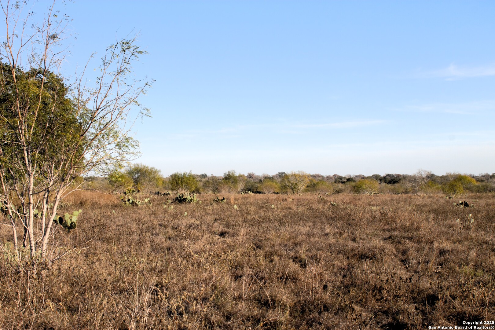 Tbd Pr Lexi Lane Poteet, TX 78065 - Photo 4 of 11