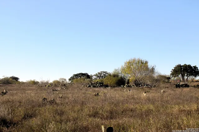 $299,900 | Tbd Pr Lexi Lane, Poteet, TX 78065