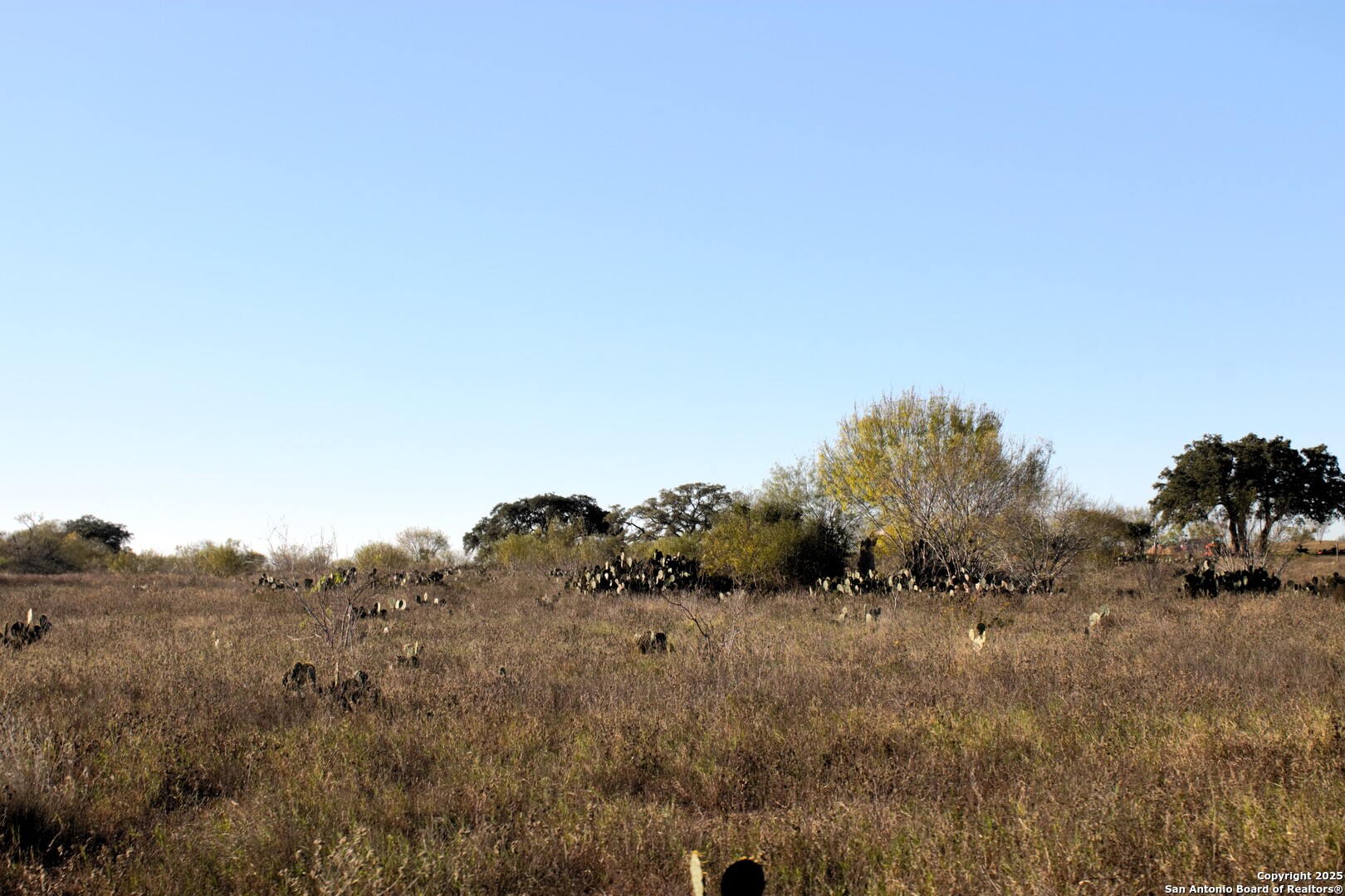 Tbd Pr Lexi Lane Poteet, TX 78065 - Photo 5 of 11