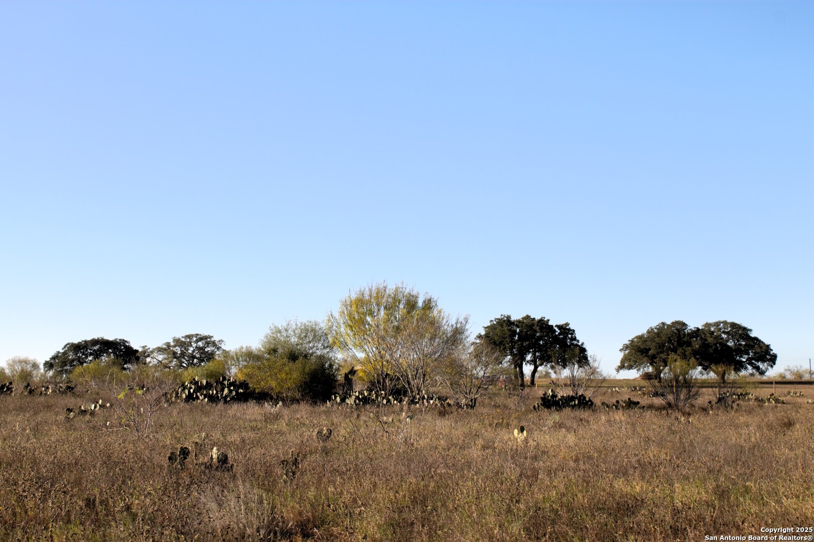 Tbd Pr Lexi Lane Poteet, TX 78065 - Photo 6 of 11